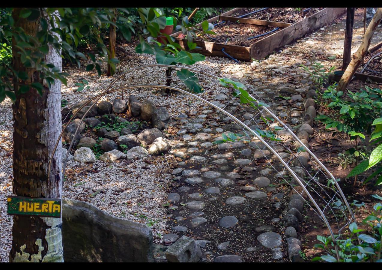 Villas Pura Vibra Potrero  Kültér fotó